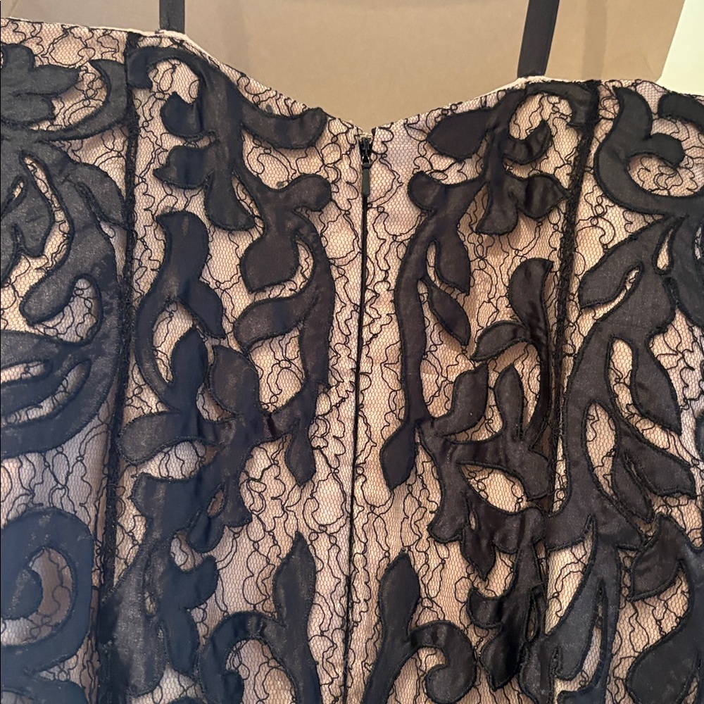 Elegant Black and Cream Lace Dress - Picture 7 of 11